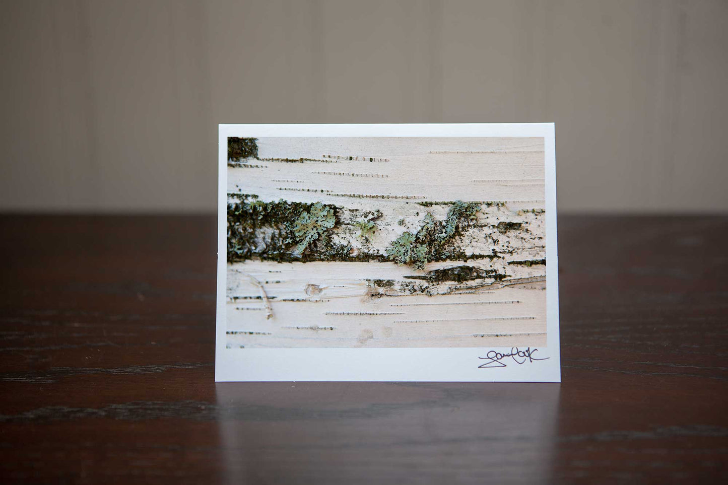 Photo Greeting card featuring 'Birch' a close up photograph of white birch with green lichen photo by Cambridge Ontario Photographer Laura Cook of Vision Photography