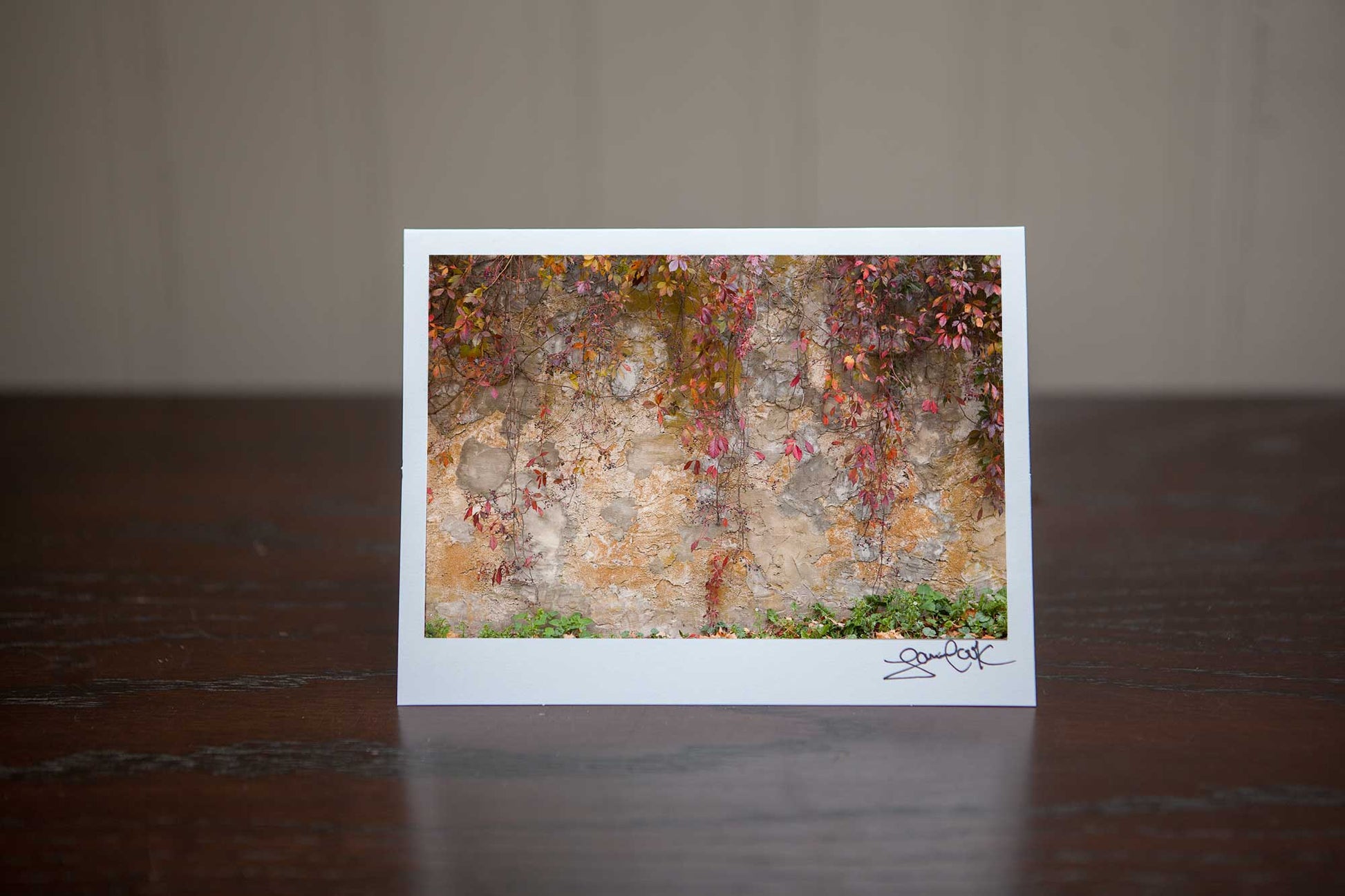 greeting card featuring a photo of red vines cascading down a textured wall Photo by Cambridge Ontario Photographer Laura Cook of Vision Photography