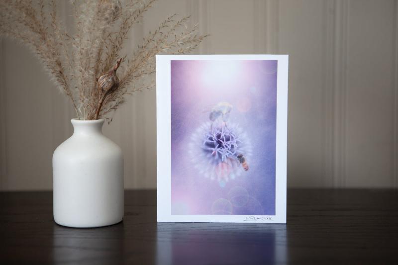 photography greeting card featuring a 4x6 print of two bees collecting nectar from the centre of a purple echinops flower mounted to sturdy white cardstock and signed by the artist Laura Cook in the bottom right corner  