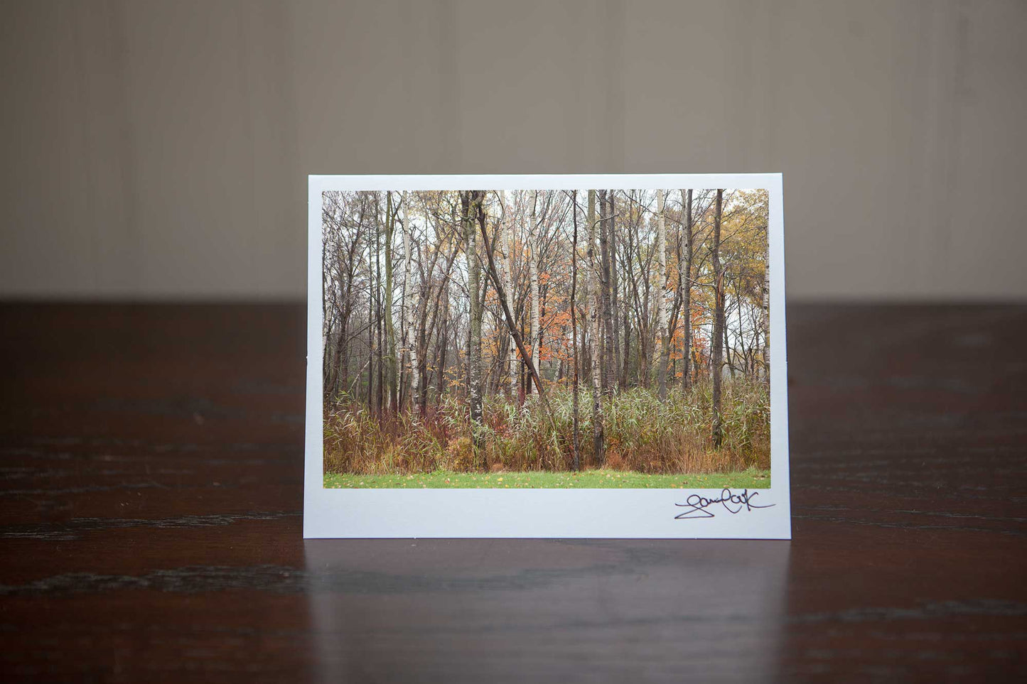 photo greeting card featuring photo of trees in the forsts Photo by Cambridge Ontario Photographer Laura Cook of Vision Photography