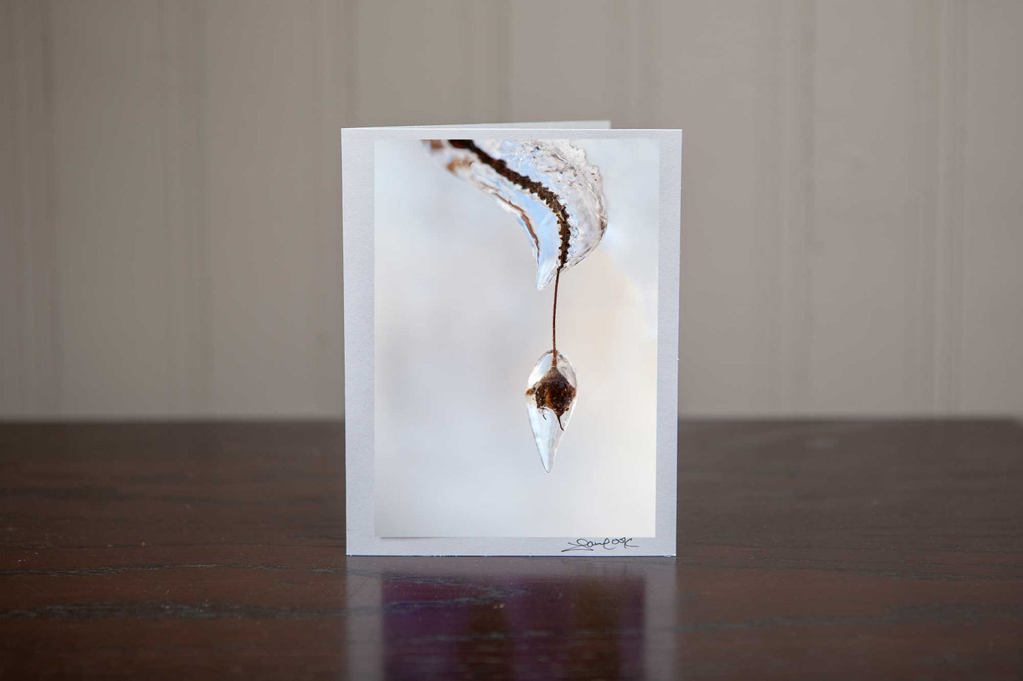 Christmas Greeting card featuring 'WInter's Tear' an icy image of frozen nature that brings a sense of peace Photo by Cambridge Ontario Photographer Laura Cook of Vision Photography